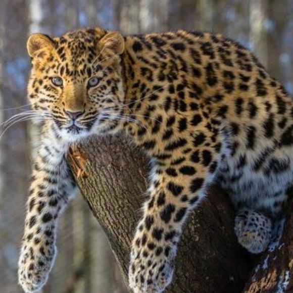 Meet your Posher, Marilyn - Picture 1 of 1